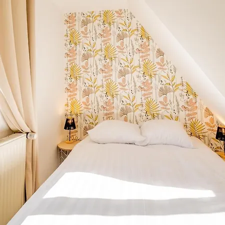 1 Min Centre-ville - Calme Et Cozy - Groupes Et Familles * Sélestat