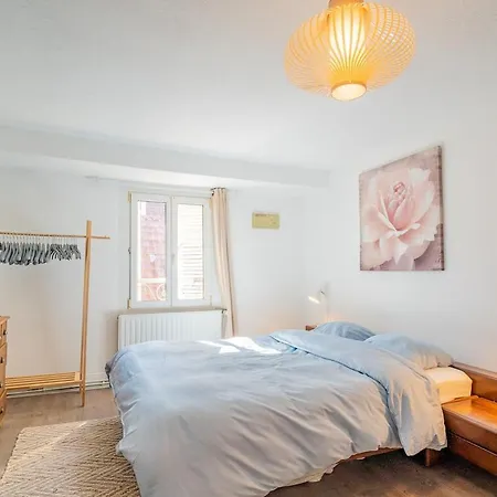 1 Min Centre-ville - Calme Et Cozy - Groupes Et Familles Apartmán Sélestat