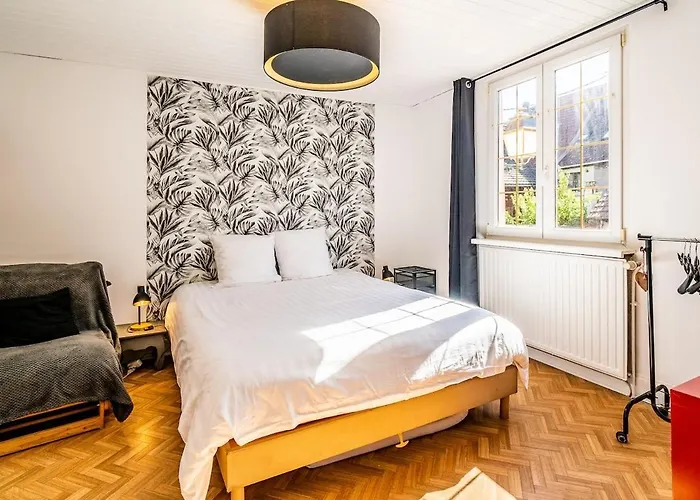 1 Min Centre-ville - Calme Et Cozy - Groupes Et Familles Selestat