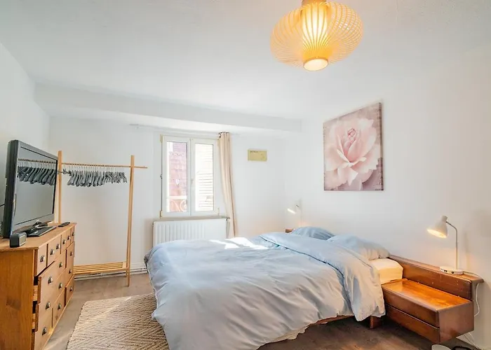 1 Min Centre-ville - Calme Et Cozy - Groupes Et Familles Apartment Selestat